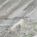06-14 14-43-25 - IMG_3311